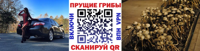 как найти закладки  Раменское  Галлюциногенные грибы MAGIC MUSHROOMS 
