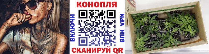 OMG как зайти  дарнет шоп  Раменское  Бошки марихуана Amnesia 